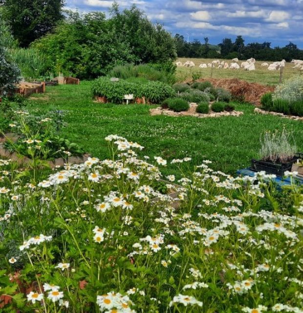 20220605_165605-768x576